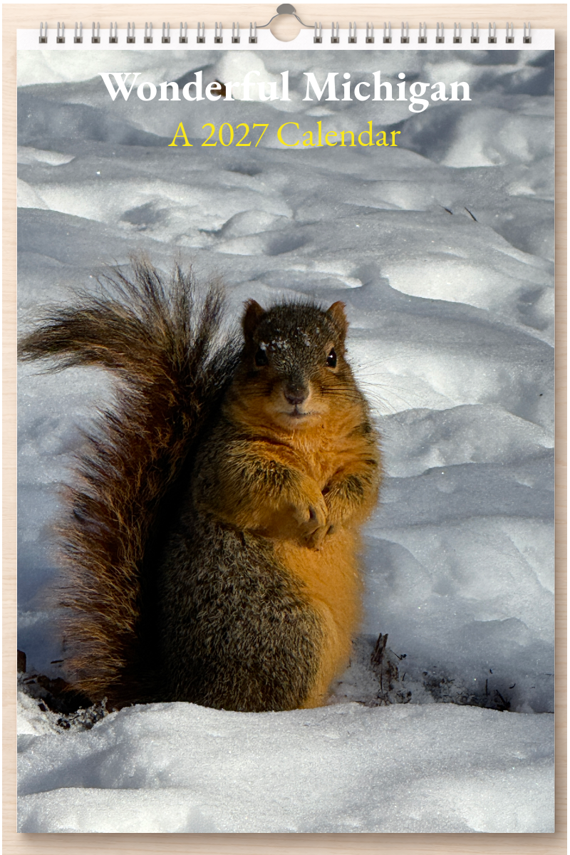 Wonderful Michigan: A 2027 Calendar
