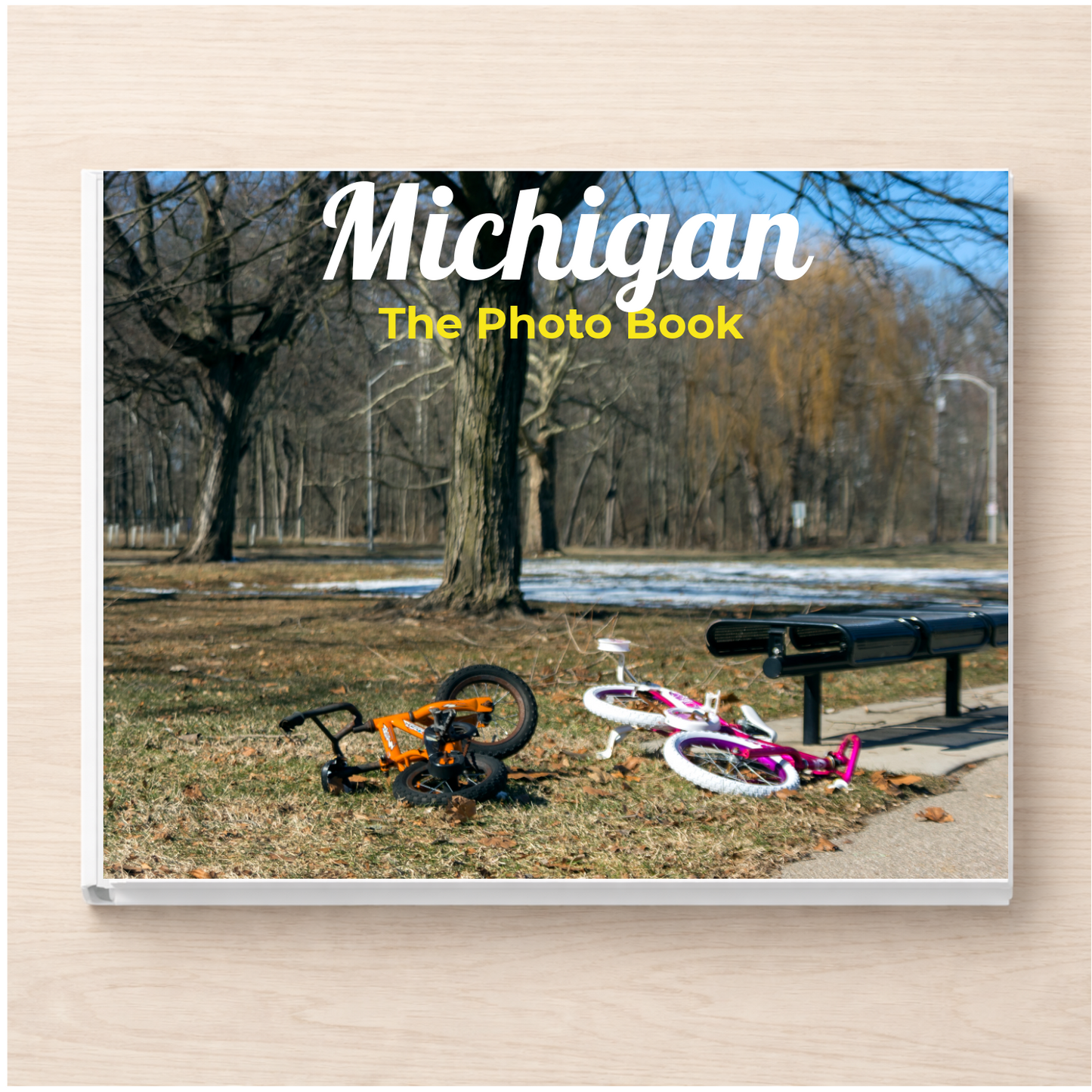 Michigan: The Photo Book