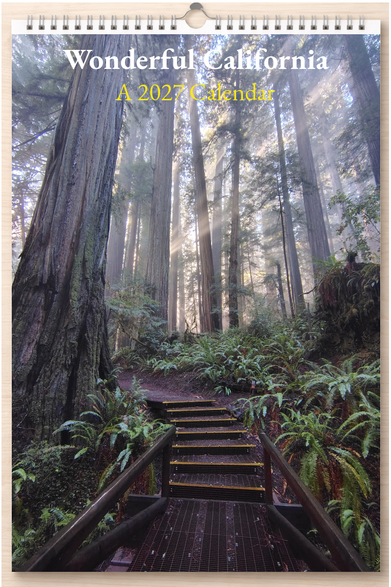 Wonderful California: A 2027 Calendar