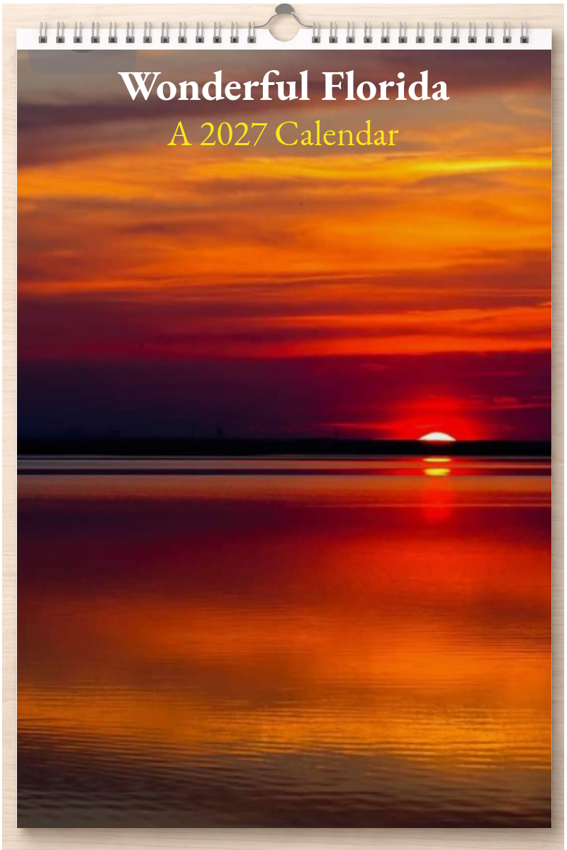 Wonderful Florida: A 2027 Calendar