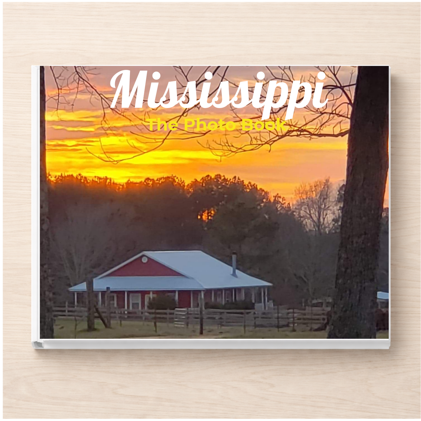 Mississippi: The Photo Book