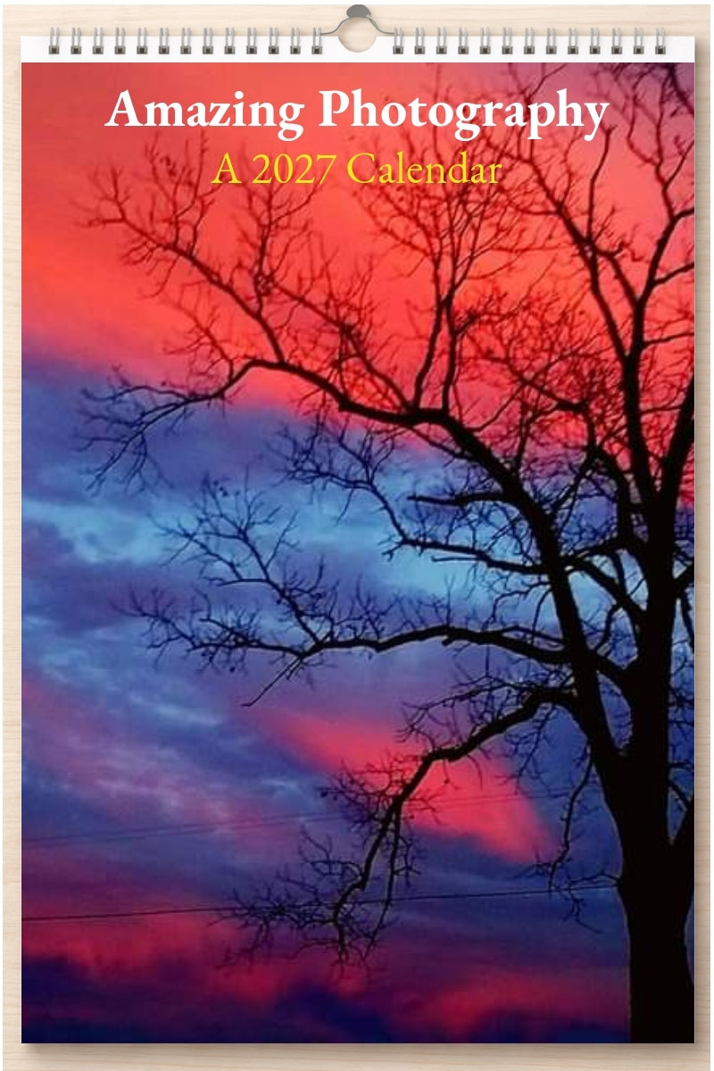 Amazing Photography: A 2027 Calendar