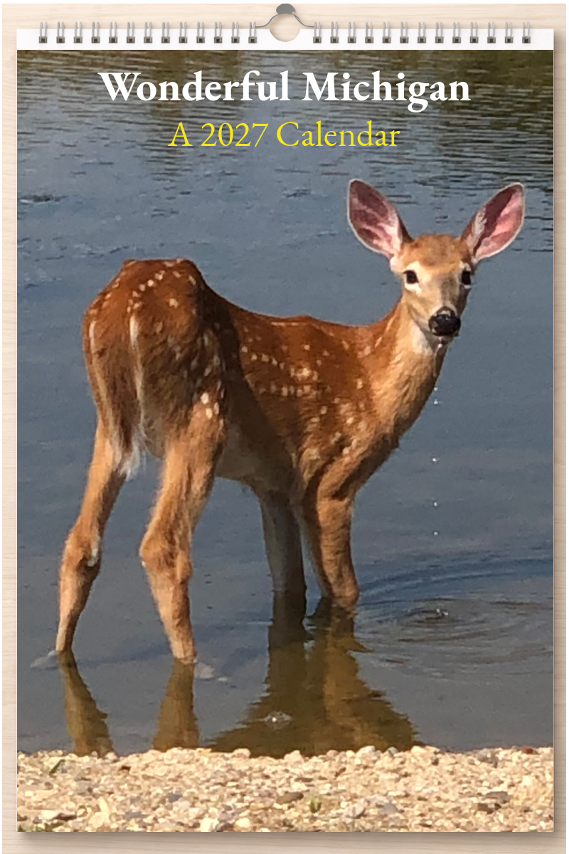 Wonderful Michigan: A 2027 Calendar