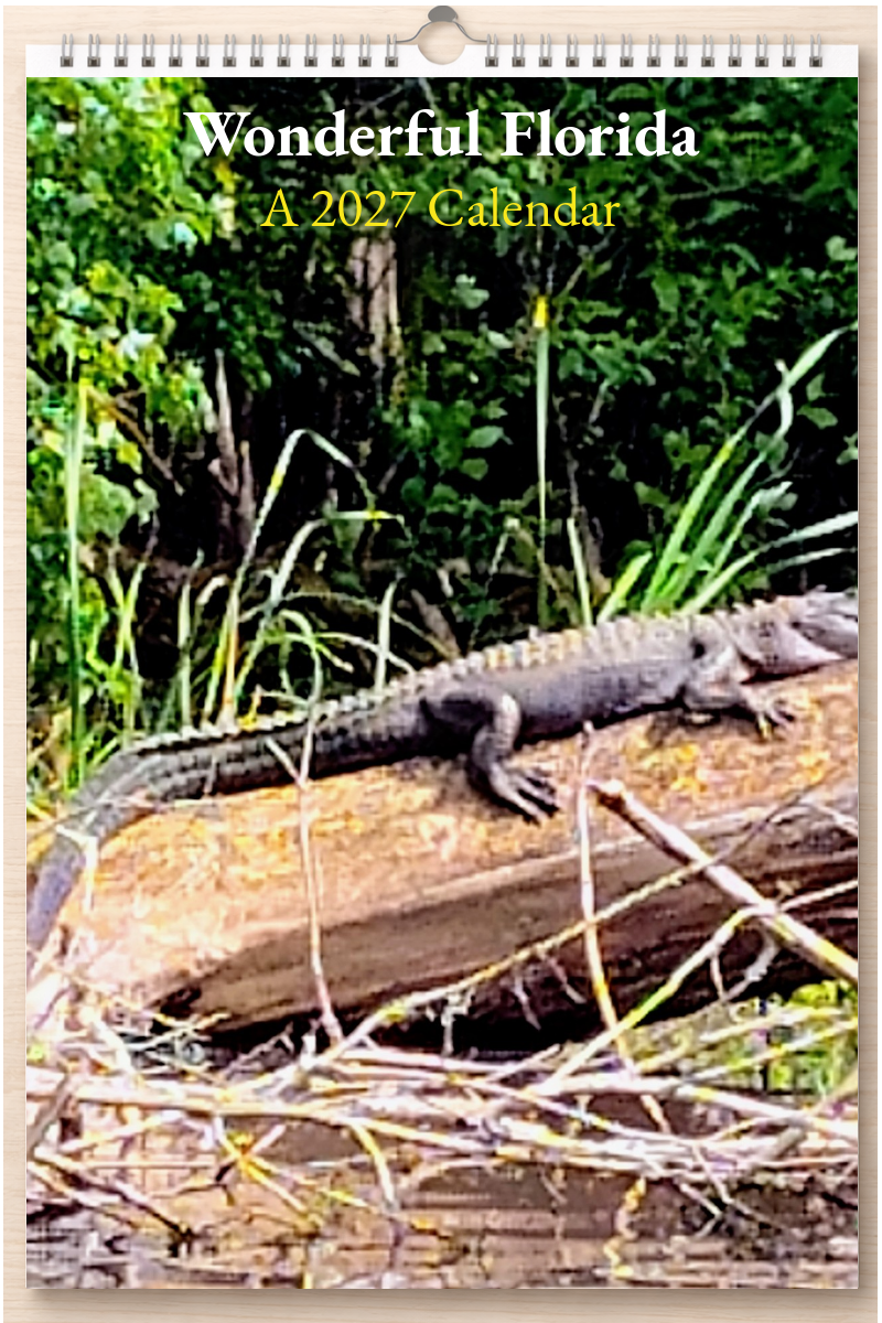 Wonderful Florida: A 2027 Calendar