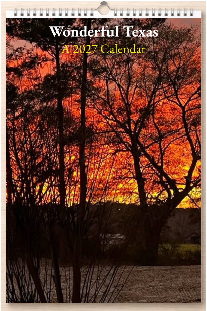 Wonderful Texas: A 2027 Calendar