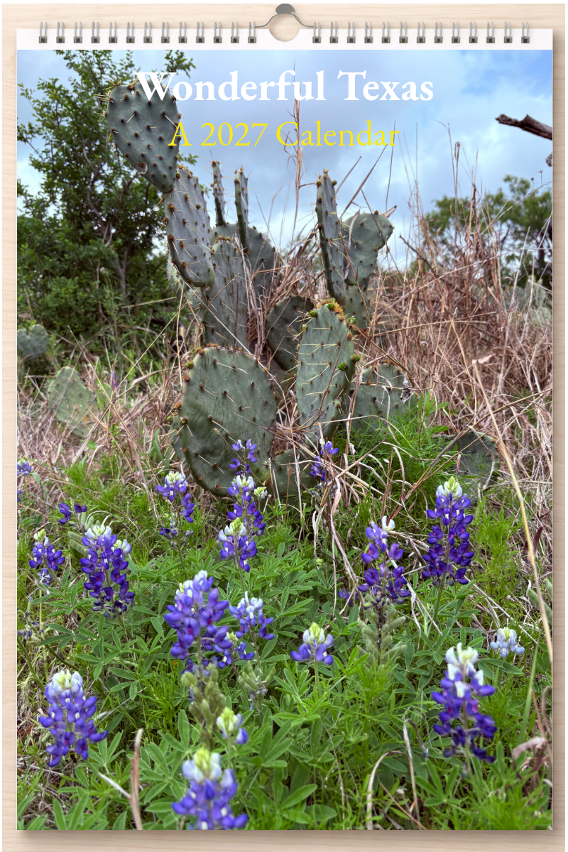 Wonderful Texas: A 2027 Calendar