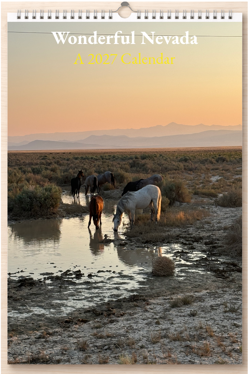 Wonderful Nevada: A 2027 Calendar