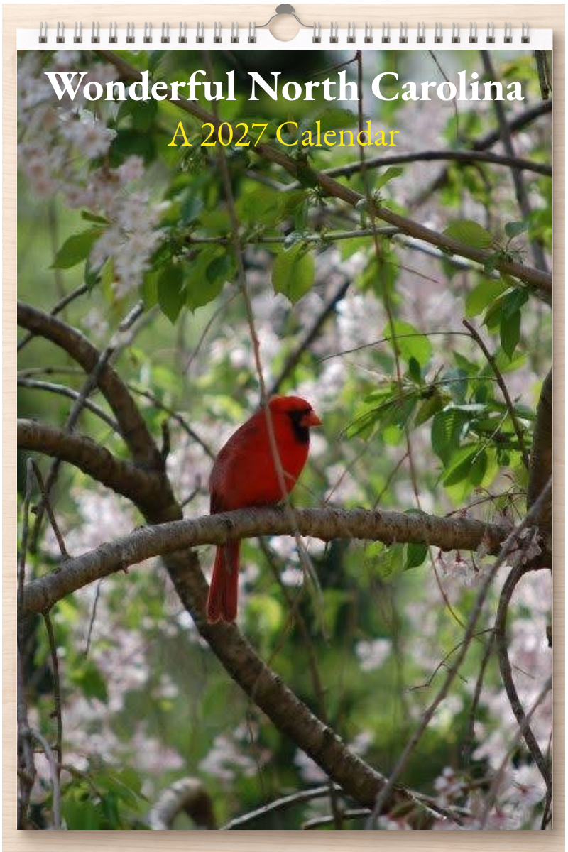 Wonderful North Carolina: A 2027 Calendar