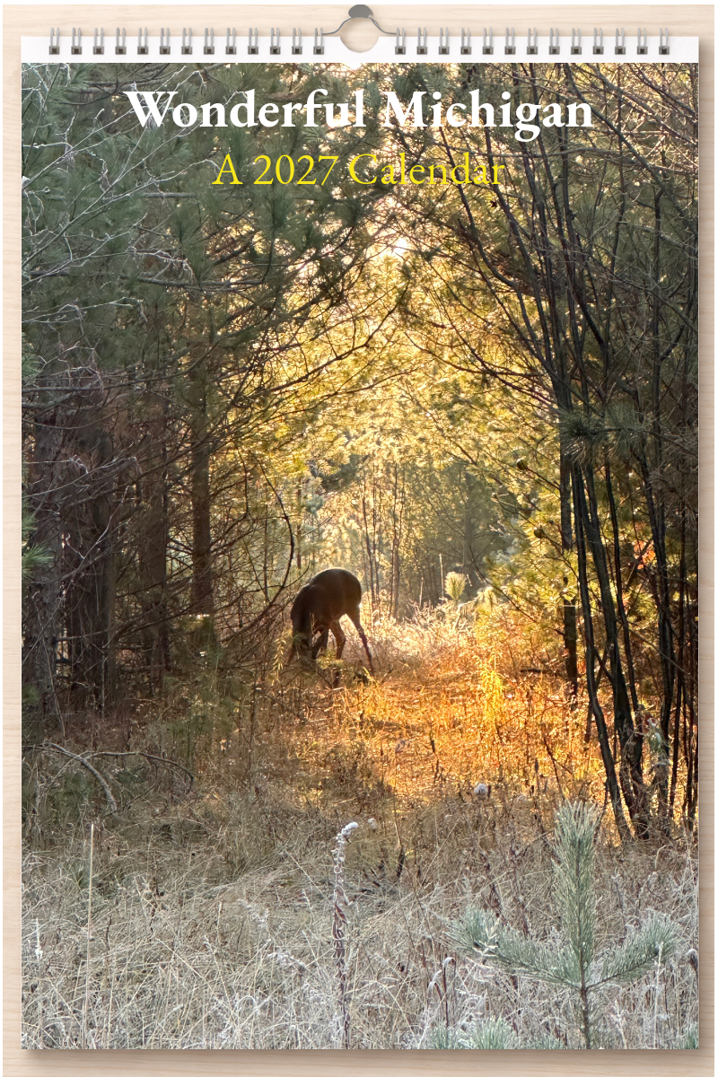 Wonderful Michigan: A 2027 Calendar