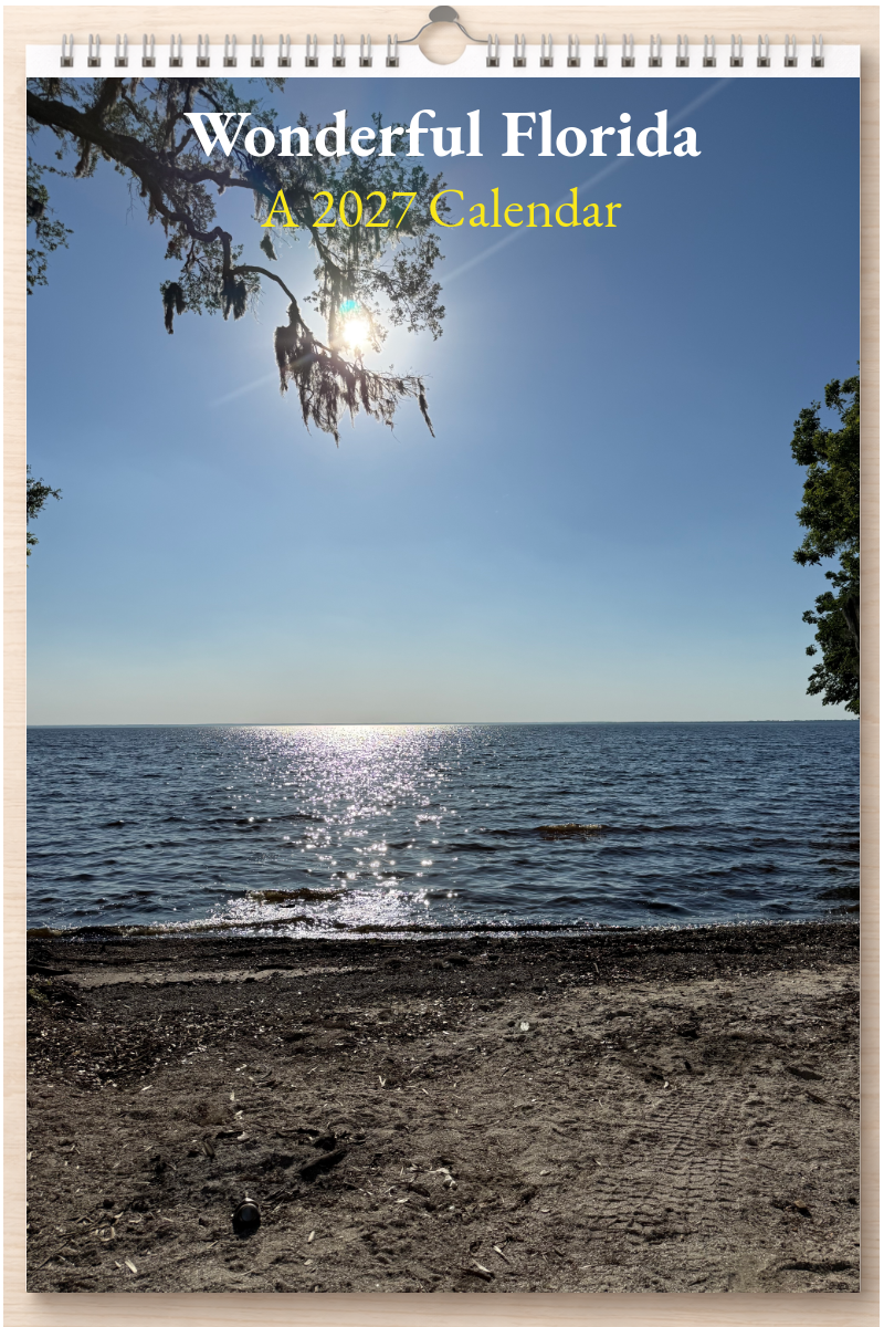 Wonderful Florida: A 2027 Calendar