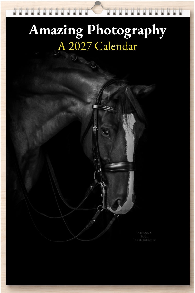 Amazing Photography: A 2027 Calendar