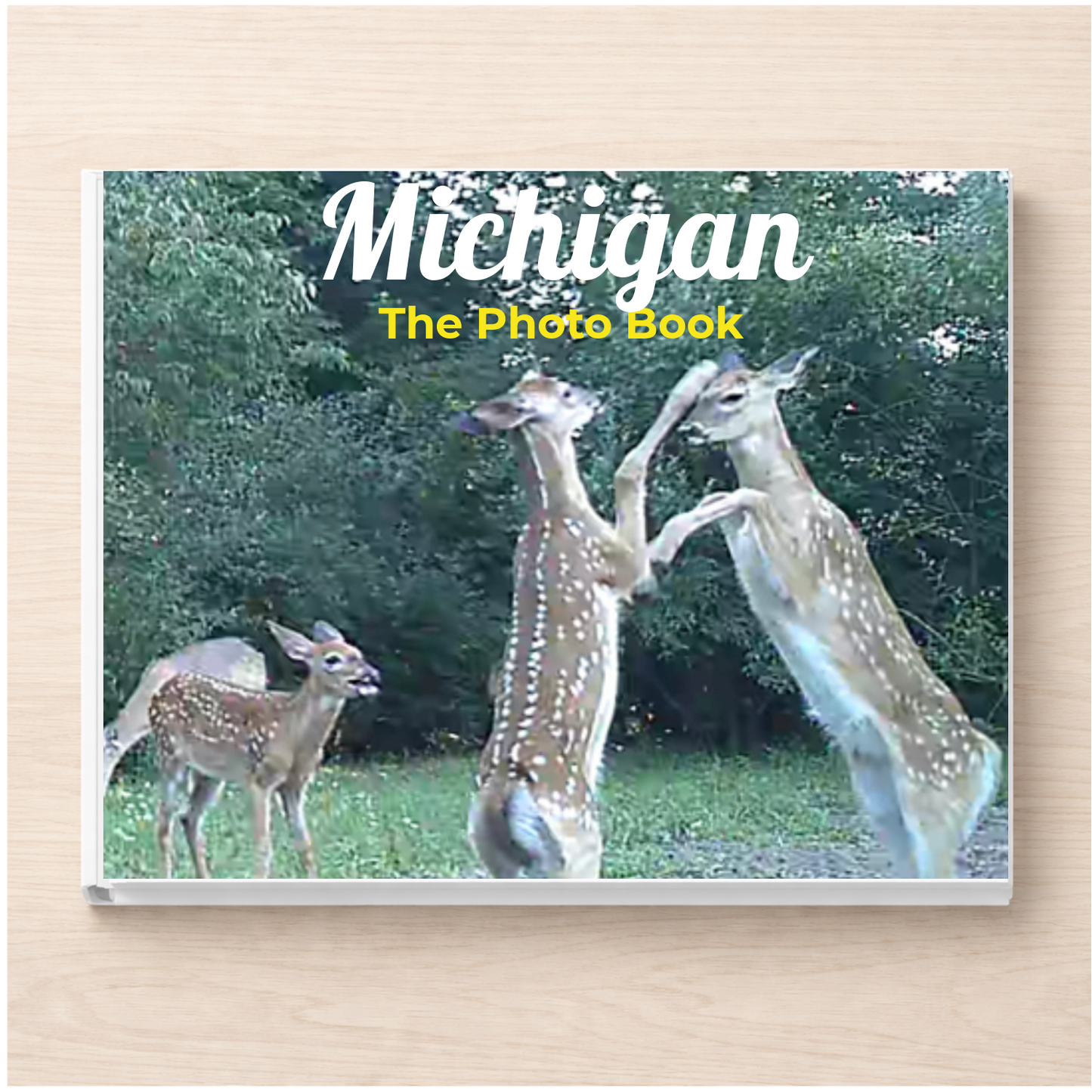 Michigan: The Photo Book