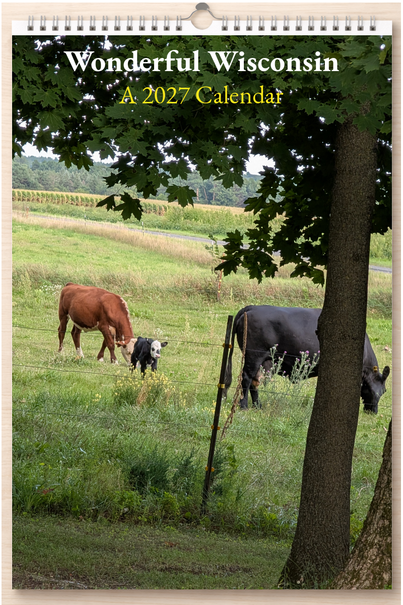 Wonderful Wisconsin: A 2027 Calendar