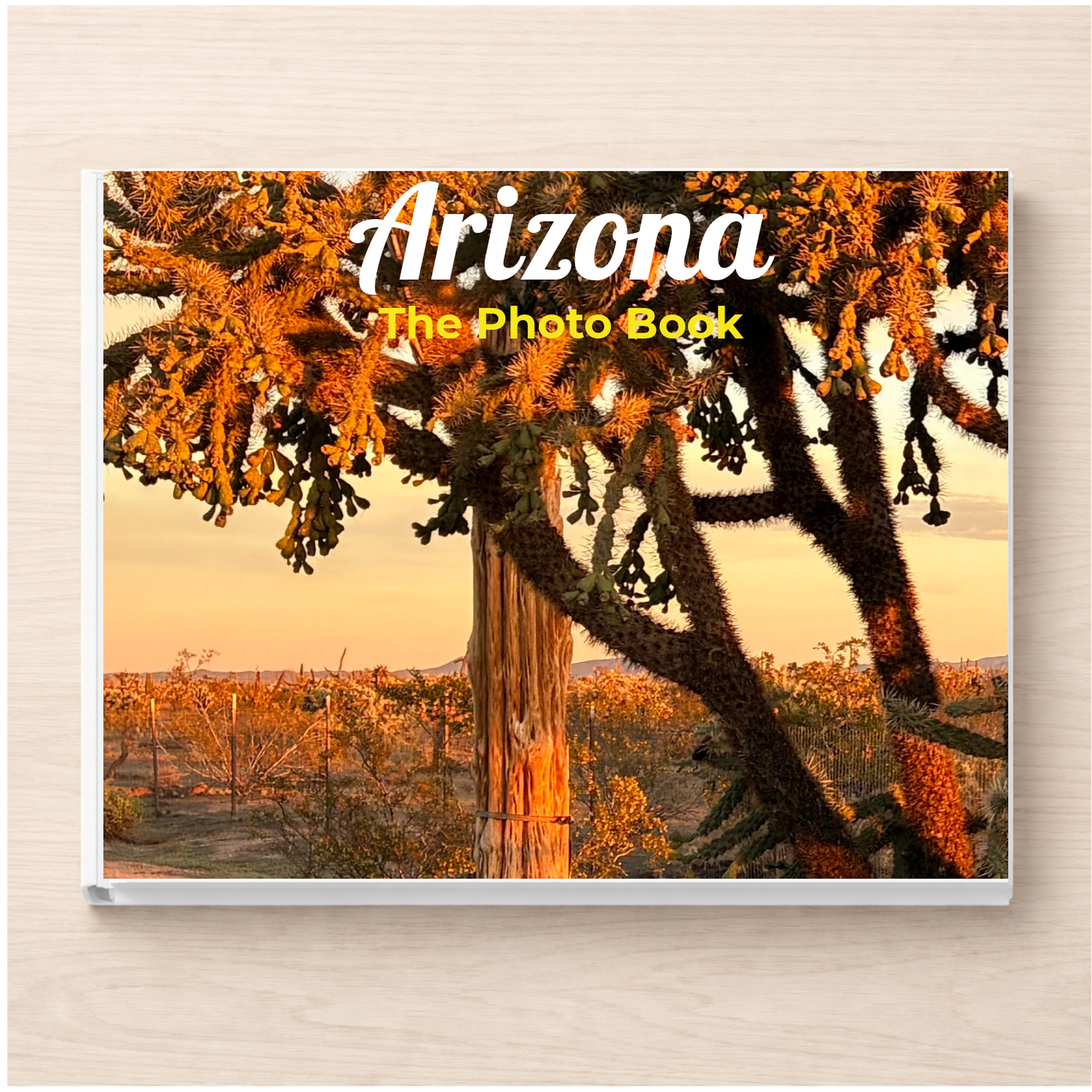 Arizona: The Photo Book