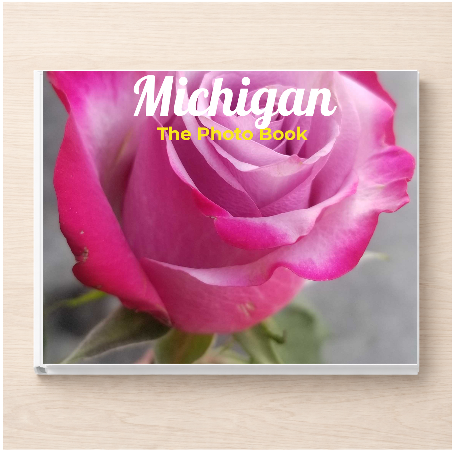 Michigan: The Photo Book