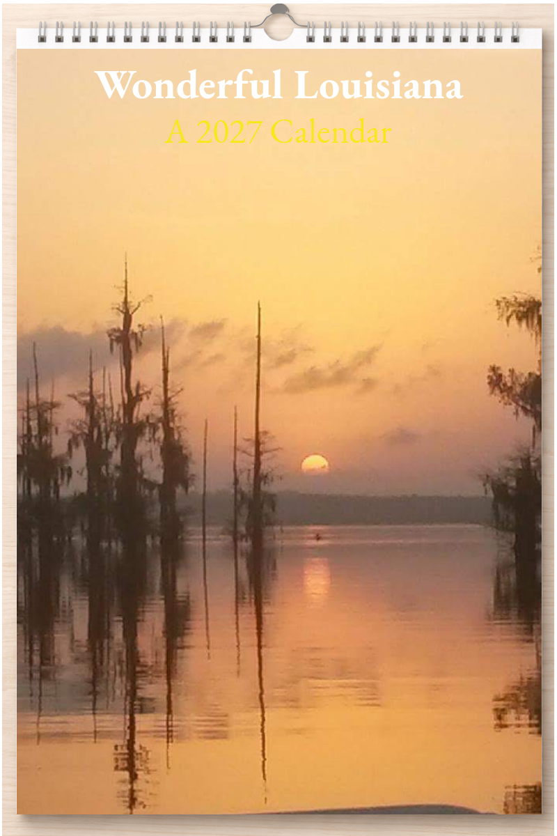 Wonderful Louisiana: A 2027 Calendar