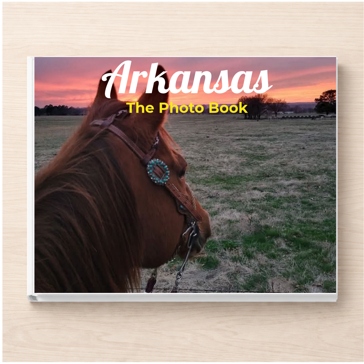 Arkansas: The Photo Book