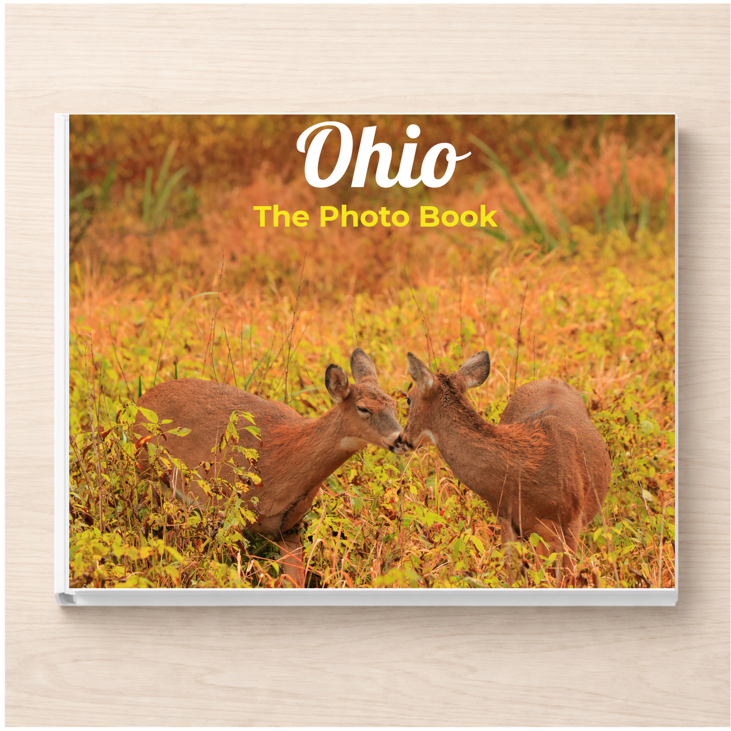 Ohio: The Photo Book