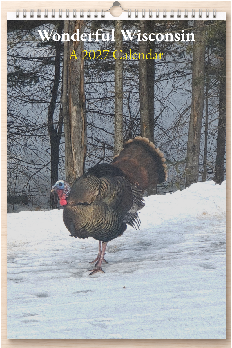 Wonderful Wisconsin: A 2027 Calendar