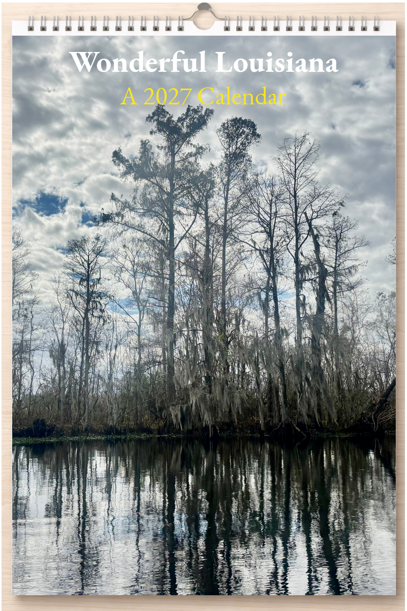 Wonderful Louisiana: A 2027 Calendar