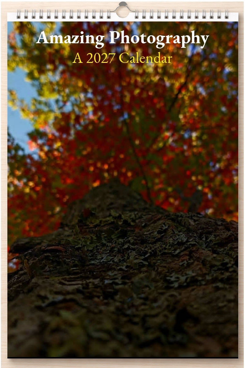 Amazing Photography: A 2027 Calendar
