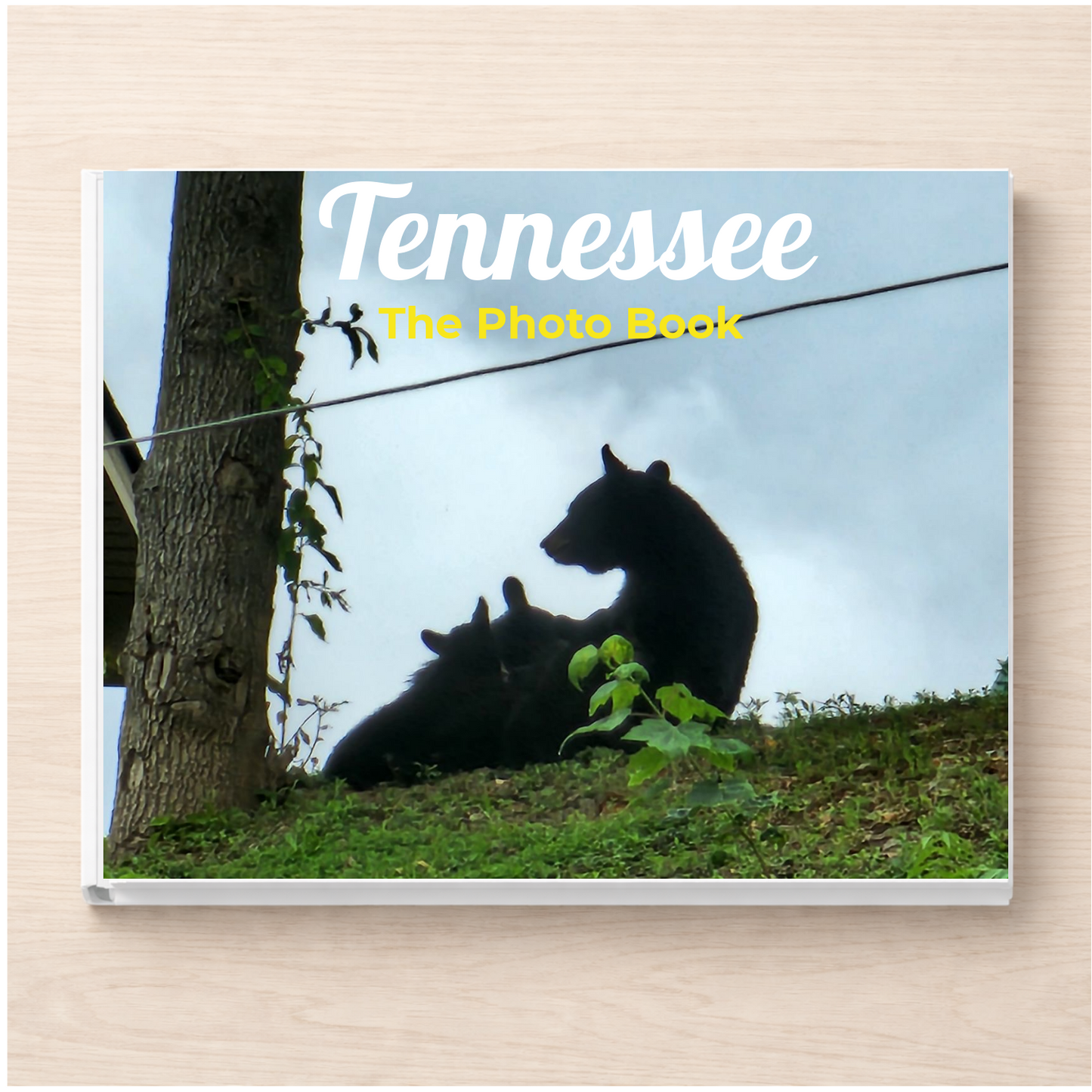 Tennessee: The Photo Book