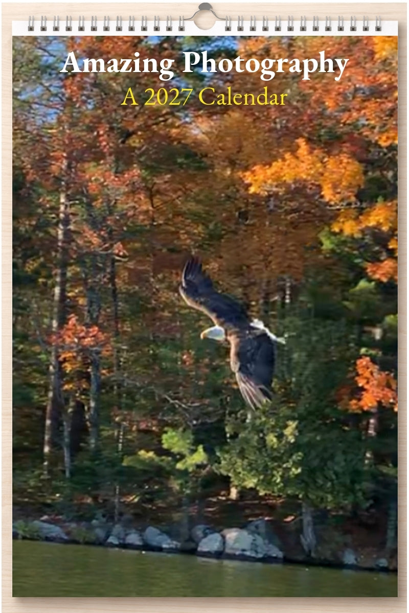Amazing Photography: A 2027 Calendar