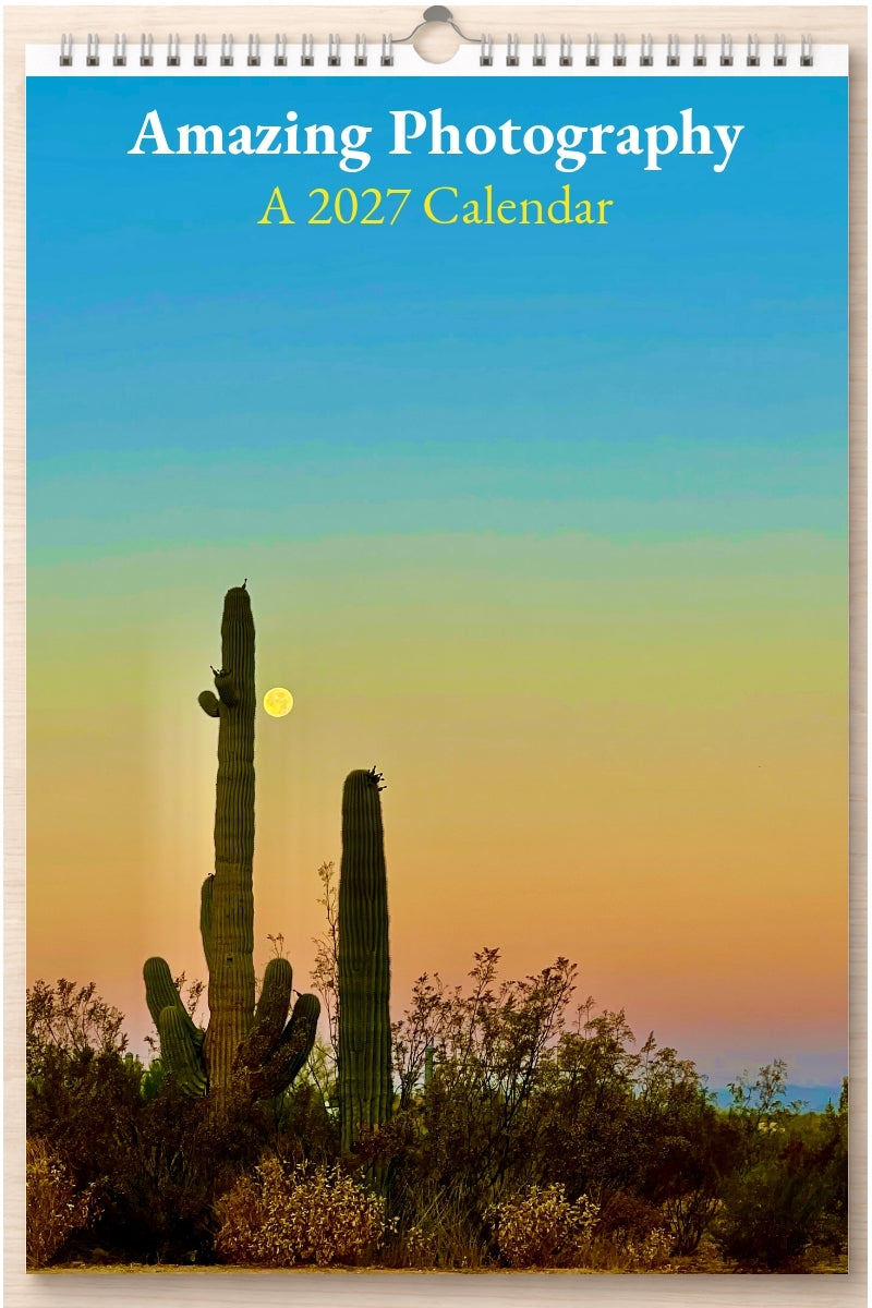 Amazing Photography: A 2027 Calendar