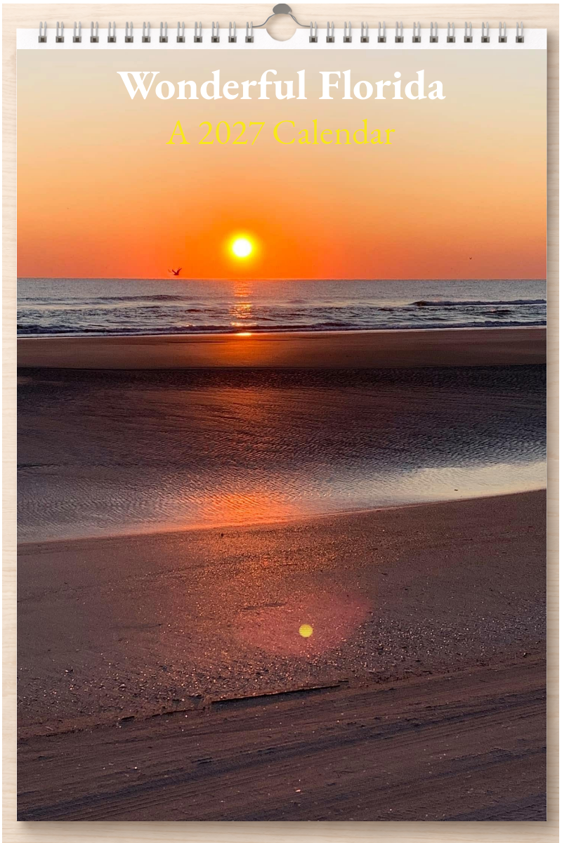 Wonderful Florida: A 2027 Calendar