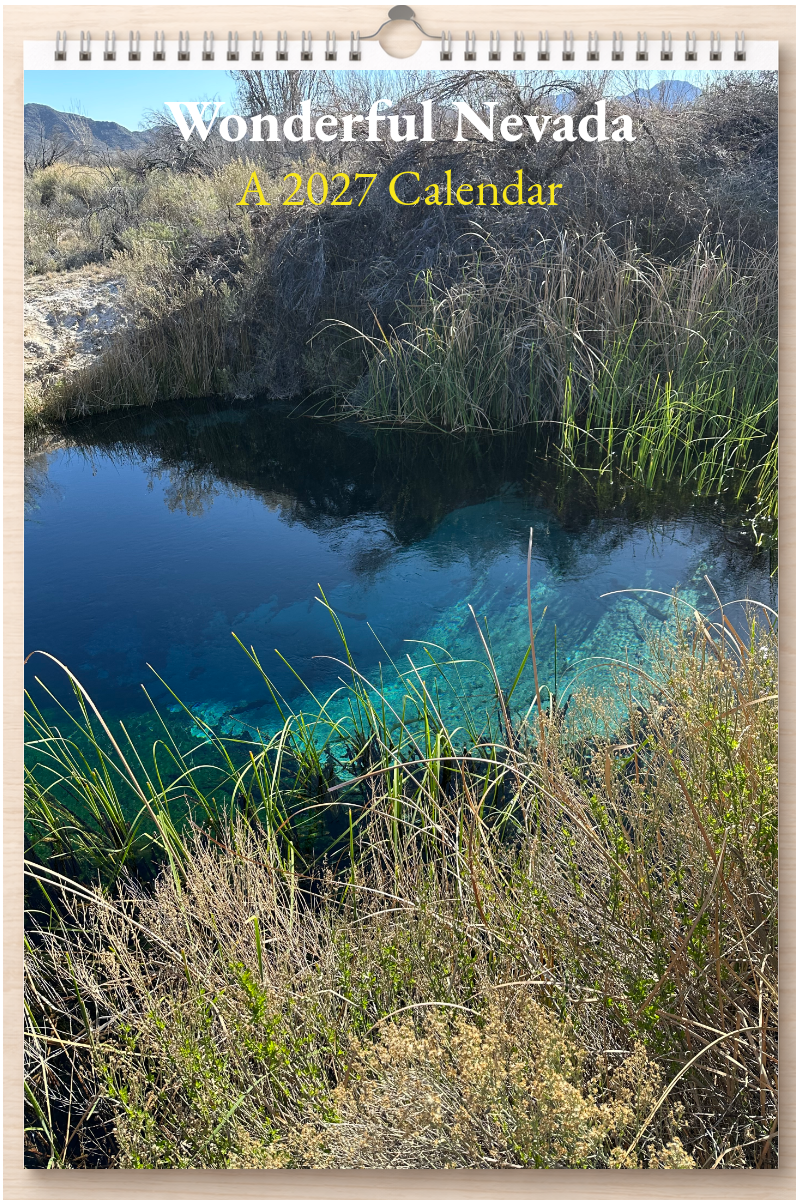 Wonderful Nevada: A 2027 Calendar