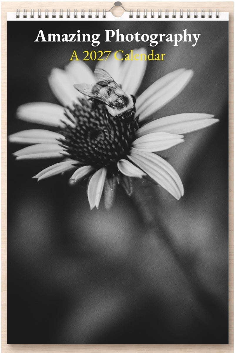 Amazing Photography: A 2027 Calendar