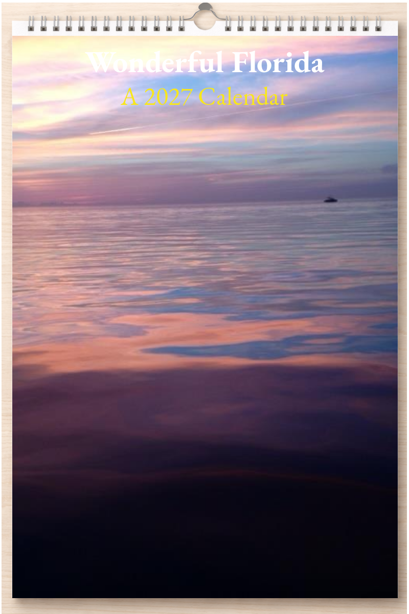 Wonderful Florida: A 2027 Calendar