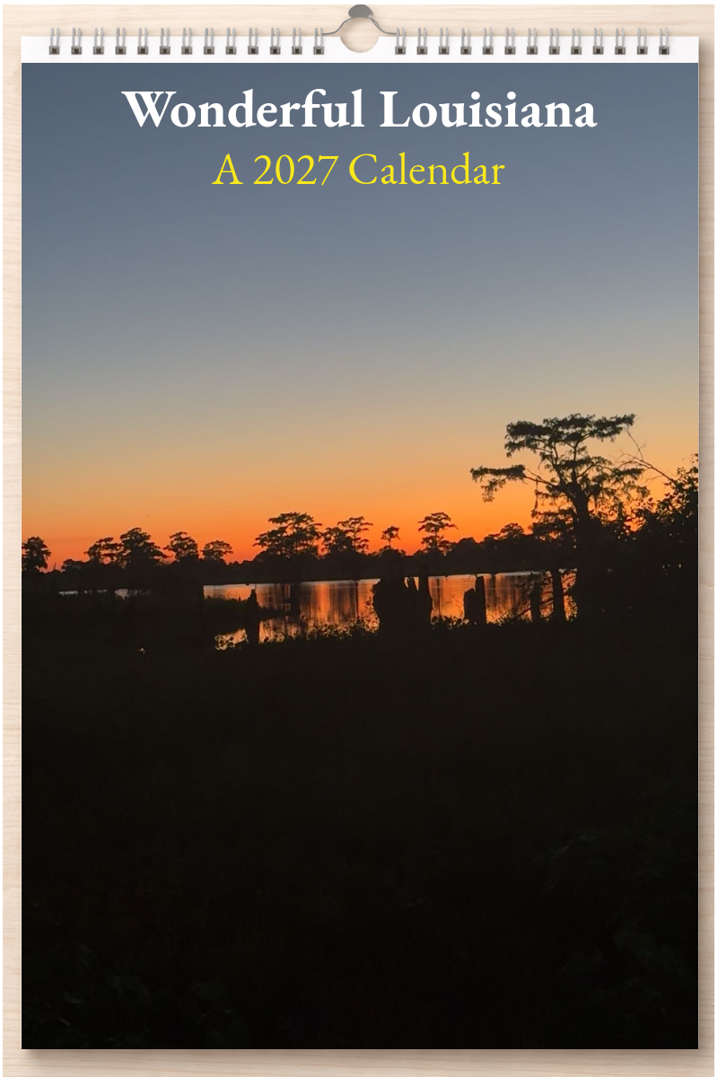 Wonderful Louisiana: A 2027 Calendar