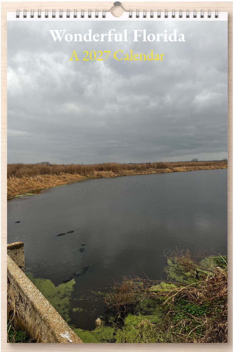 Wonderful Florida: A 2027 Calendar