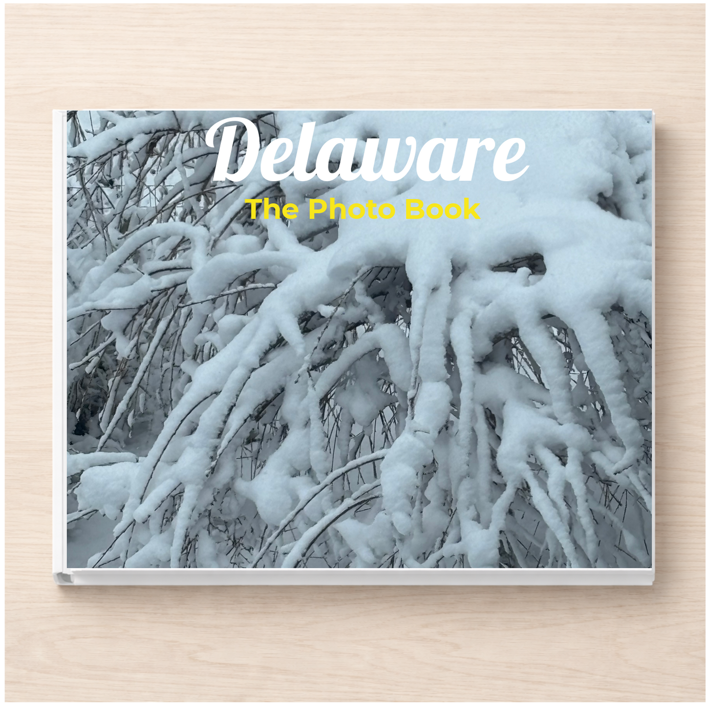 Delaware: The Photo Book