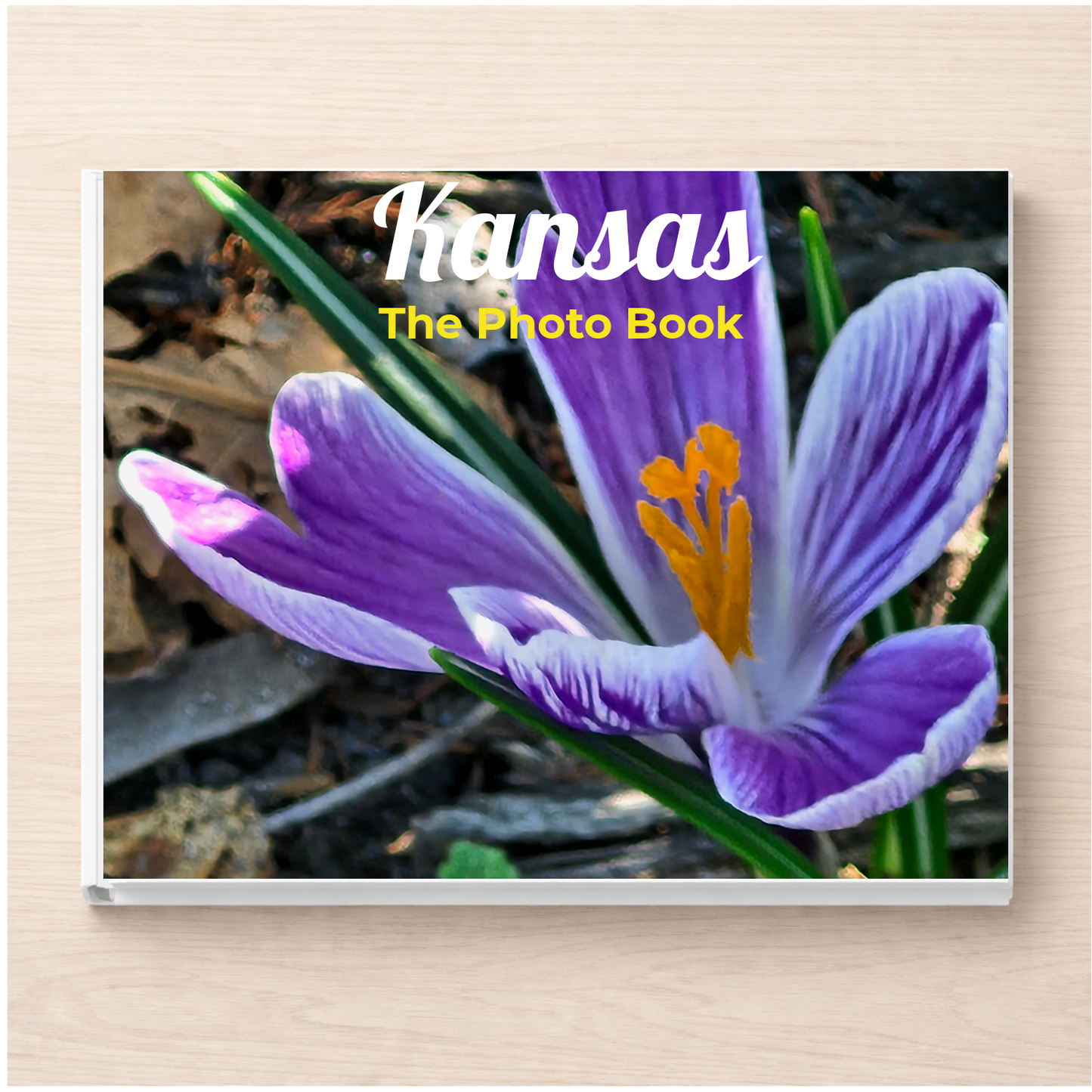 Kansas: The Photo Book