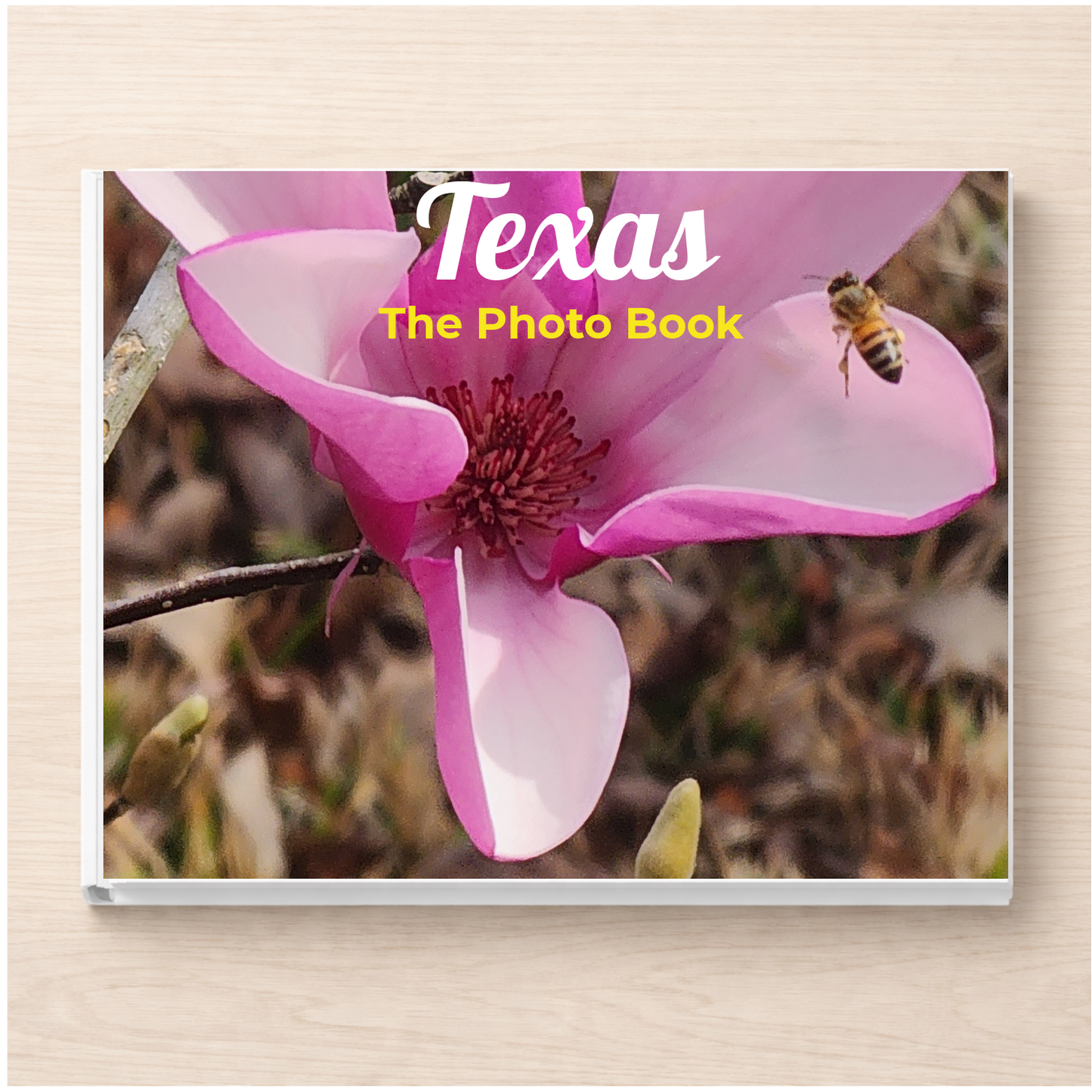 Texas: The Photo Book