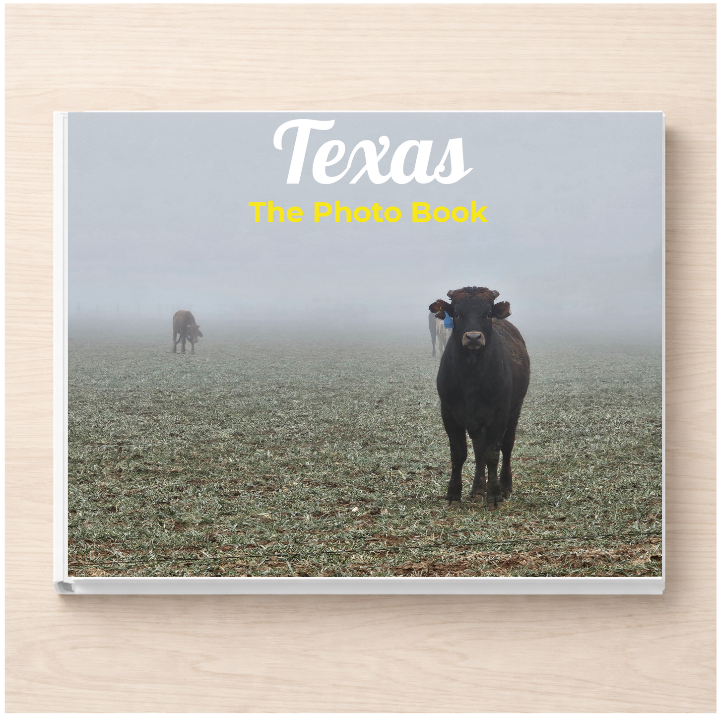 Texas: The Photo Book