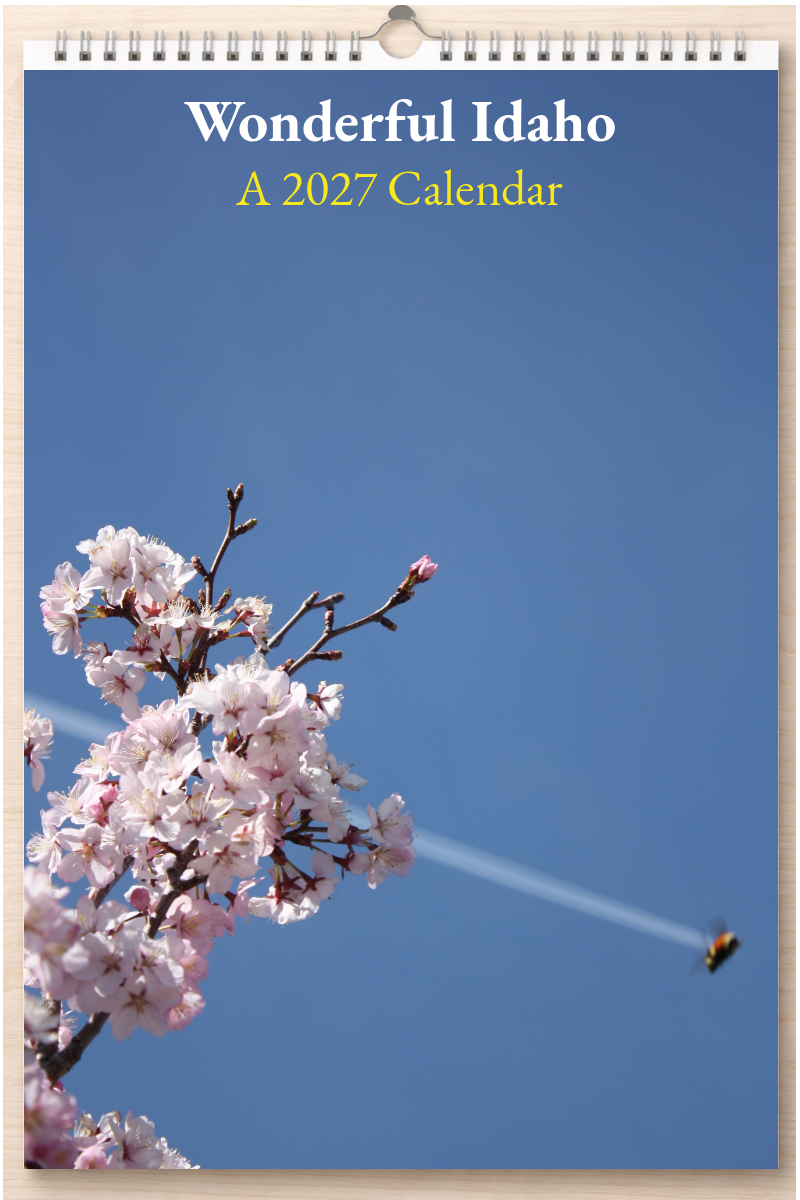 Wonderful Idaho: A 2027 Calendar