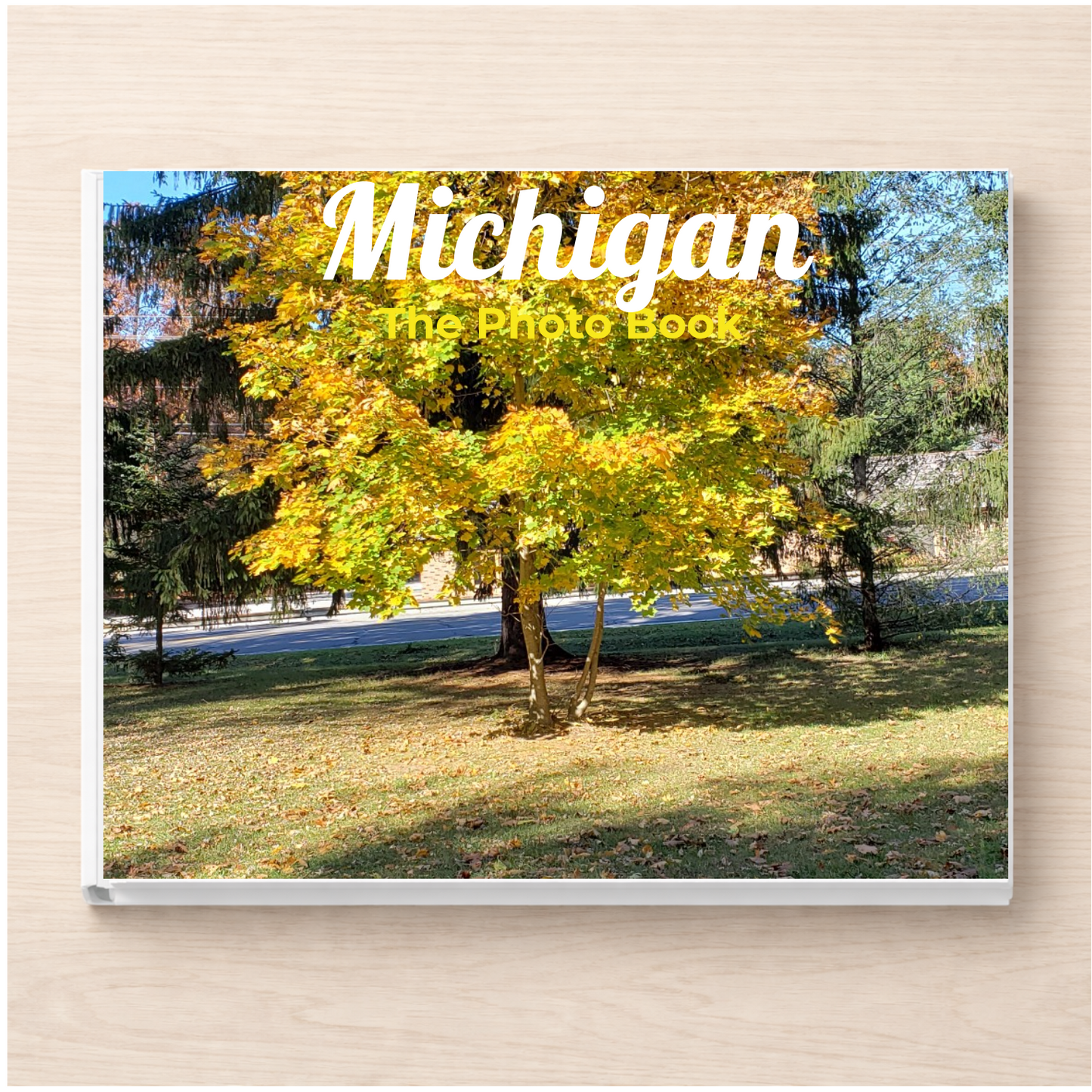 Michigan: The Photo Book