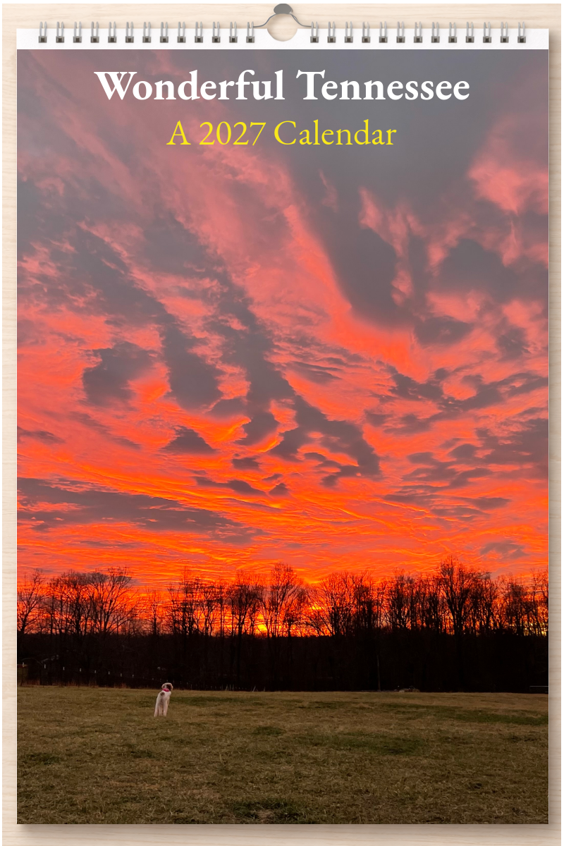 Wonderful Tennessee: A 2027 Calendar