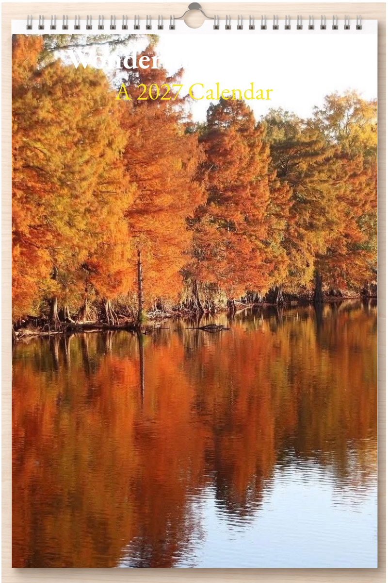 Wonderful Louisiana: A 2027 Calendar