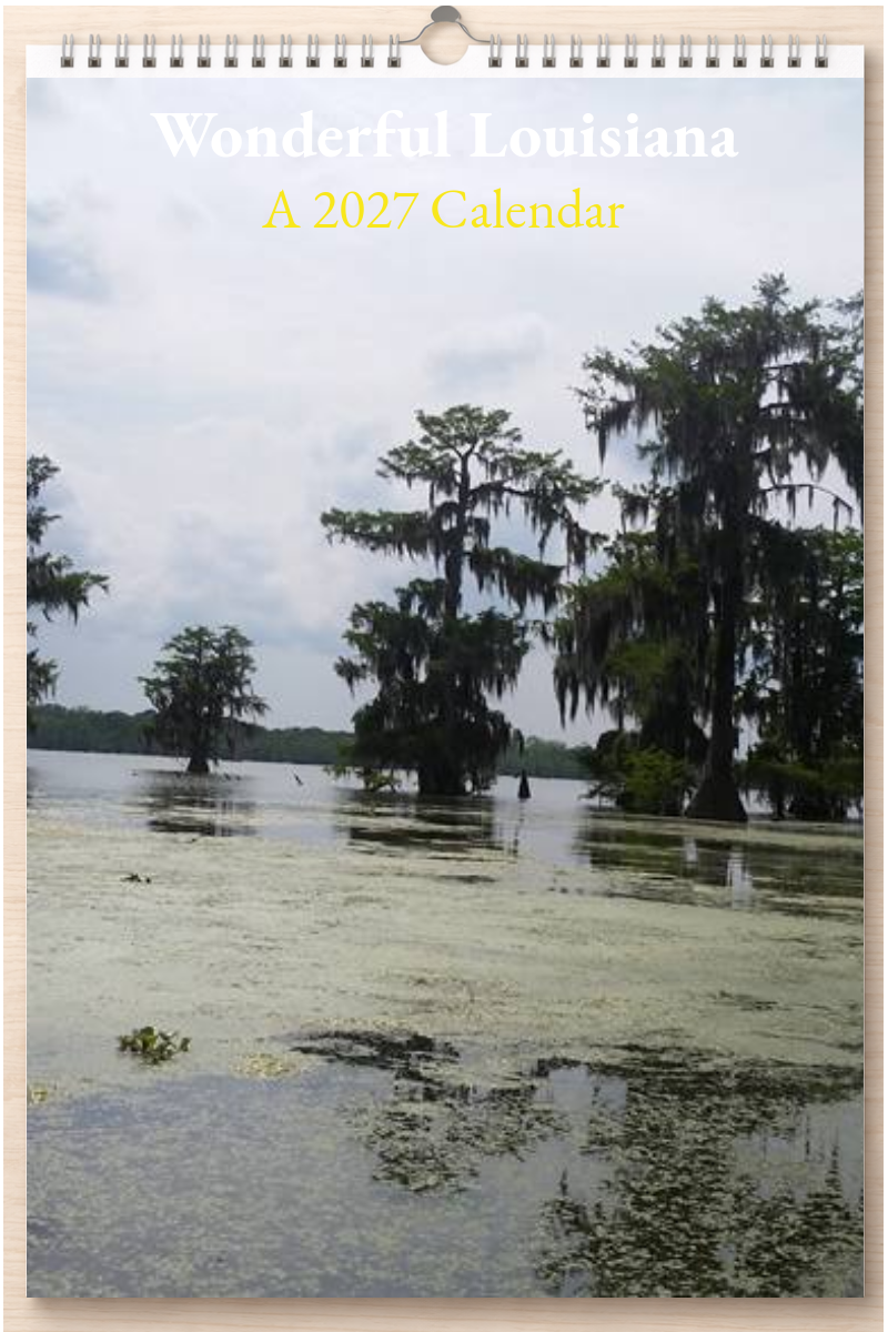 Wonderful Louisiana: A 2027 Calendar