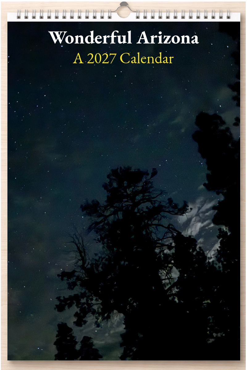 Wonderful Arizona: A 2027 Calendar