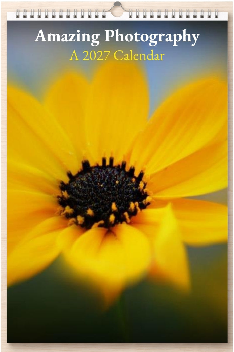 Amazing Photography: A 2027 Calendar