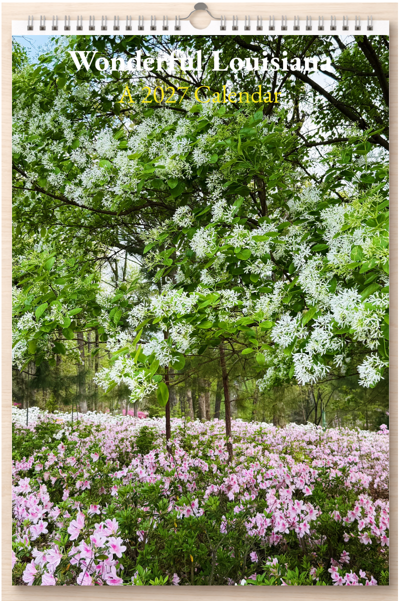 Wonderful Louisiana: A 2027 Calendar