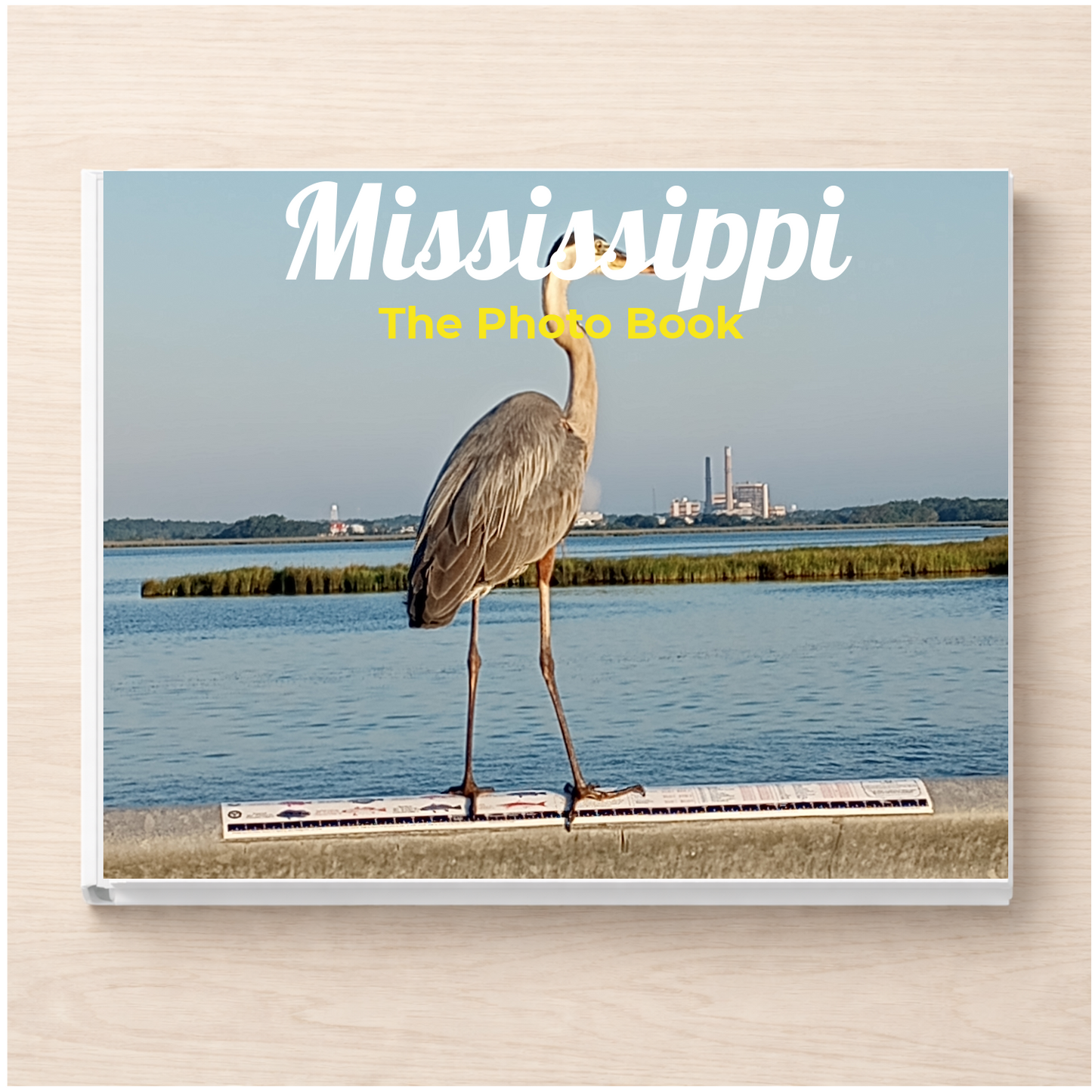 Mississippi: The Photo Book