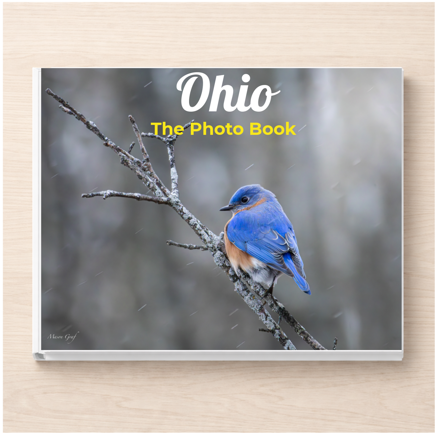 Ohio: The Photo Book