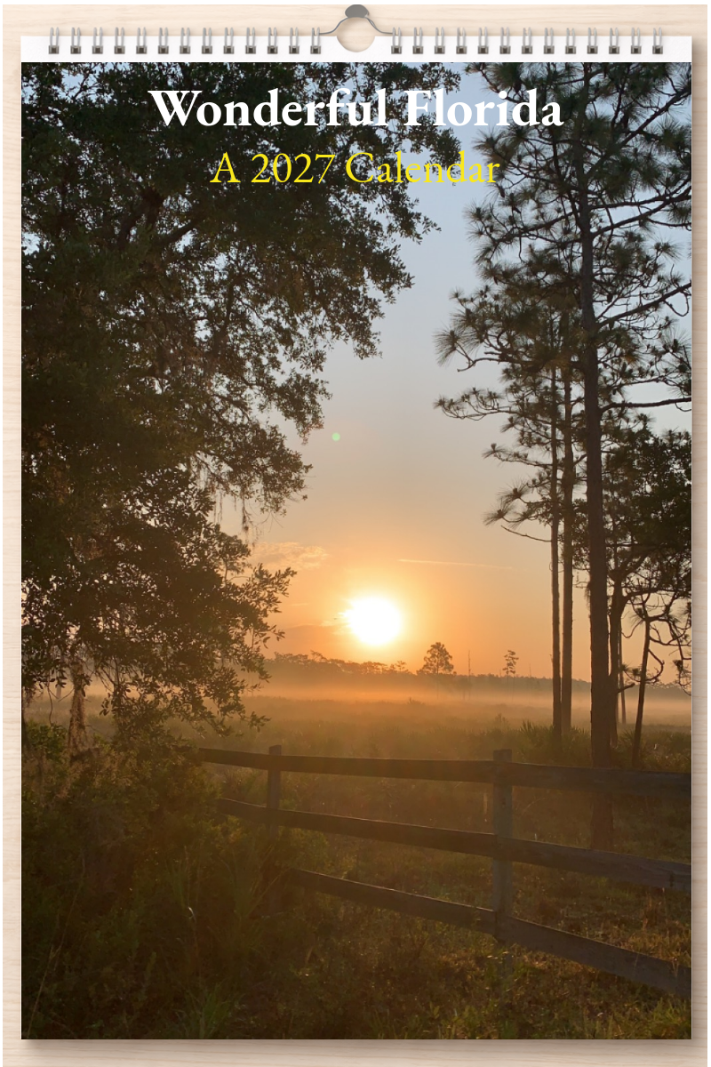 Wonderful Florida: A 2027 Calendar