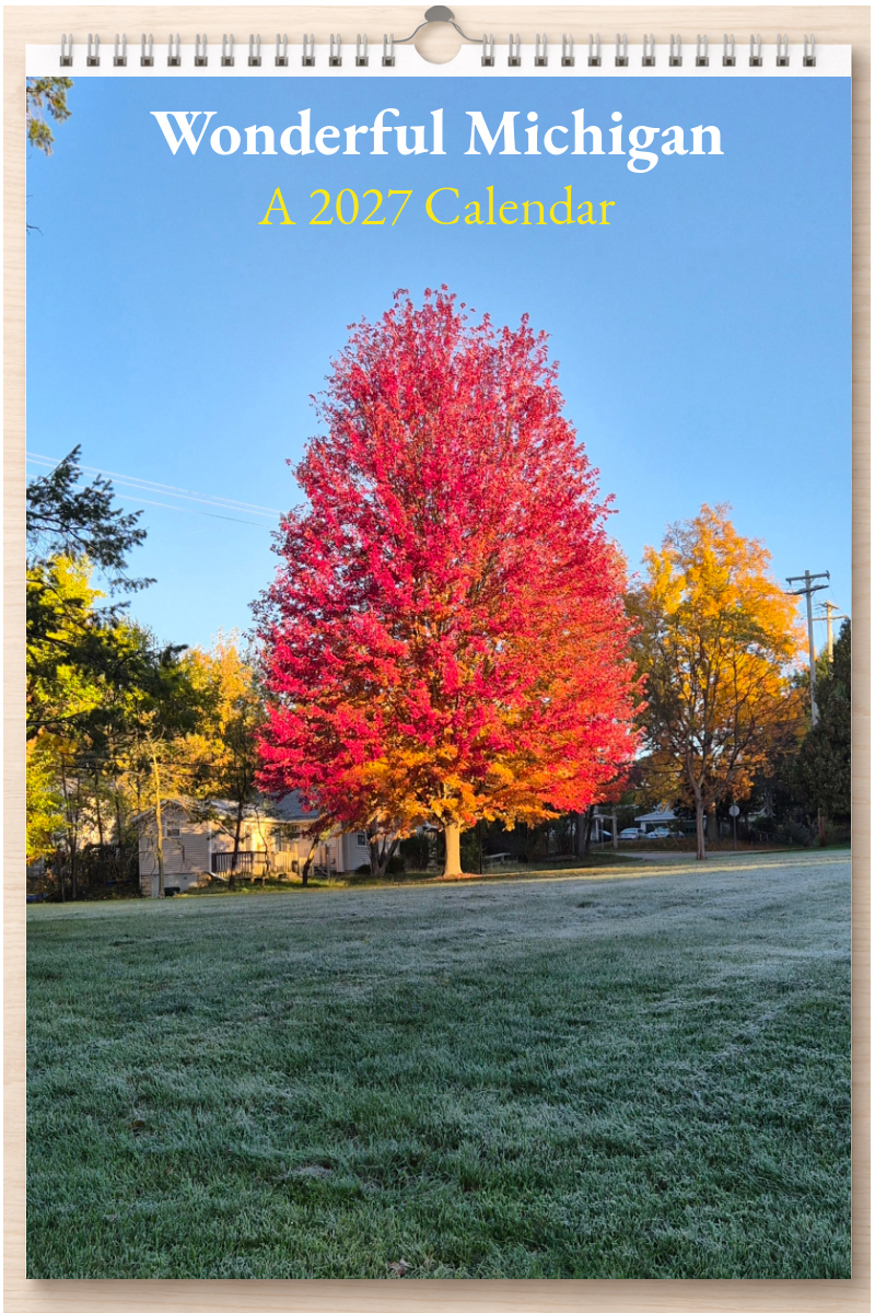 Wonderful Michigan: A 2027 Calendar